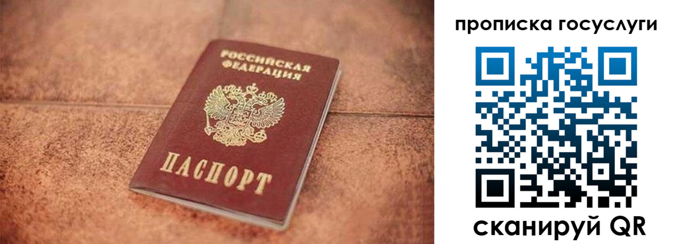 прописка законно в Фокино